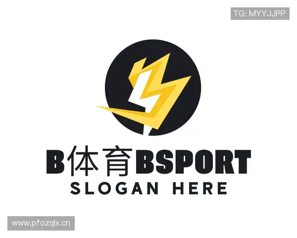 介绍b体育bsport